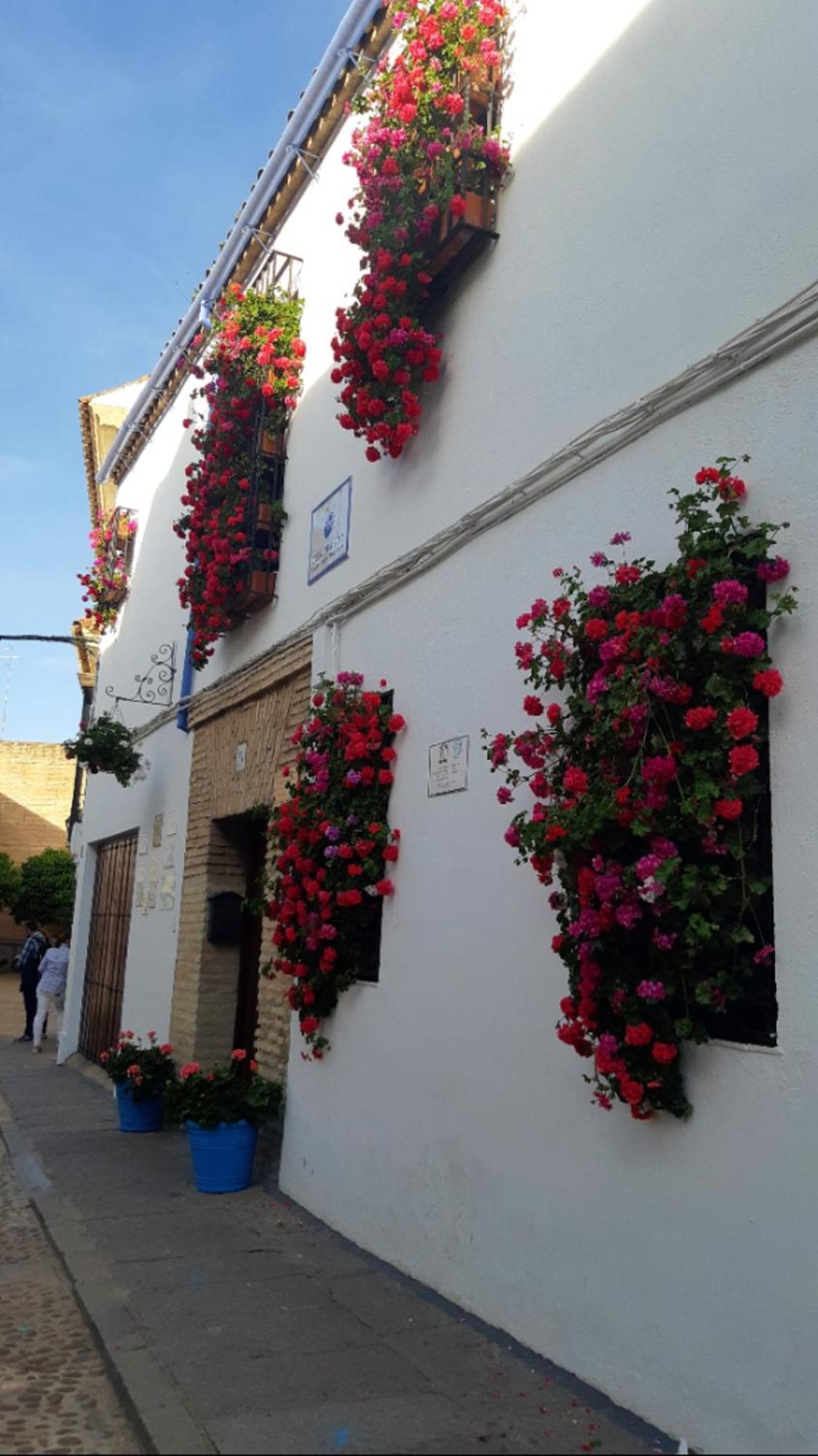 Apartamento Apartamento en Barrio San Basilio Córdoba Exterior foto